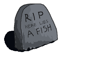 RIPFishy